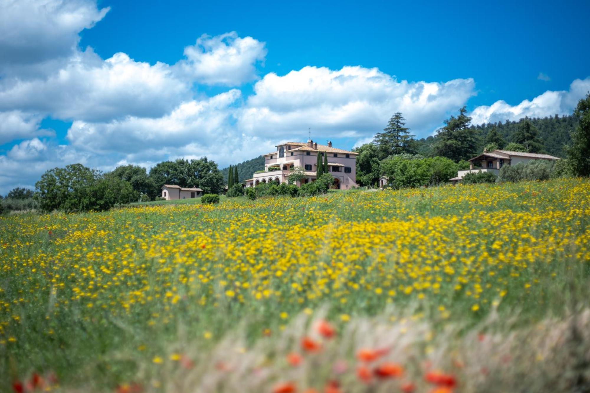 Agri Relais Il Poderaccio Di ボルセーナ エクステリア 写真