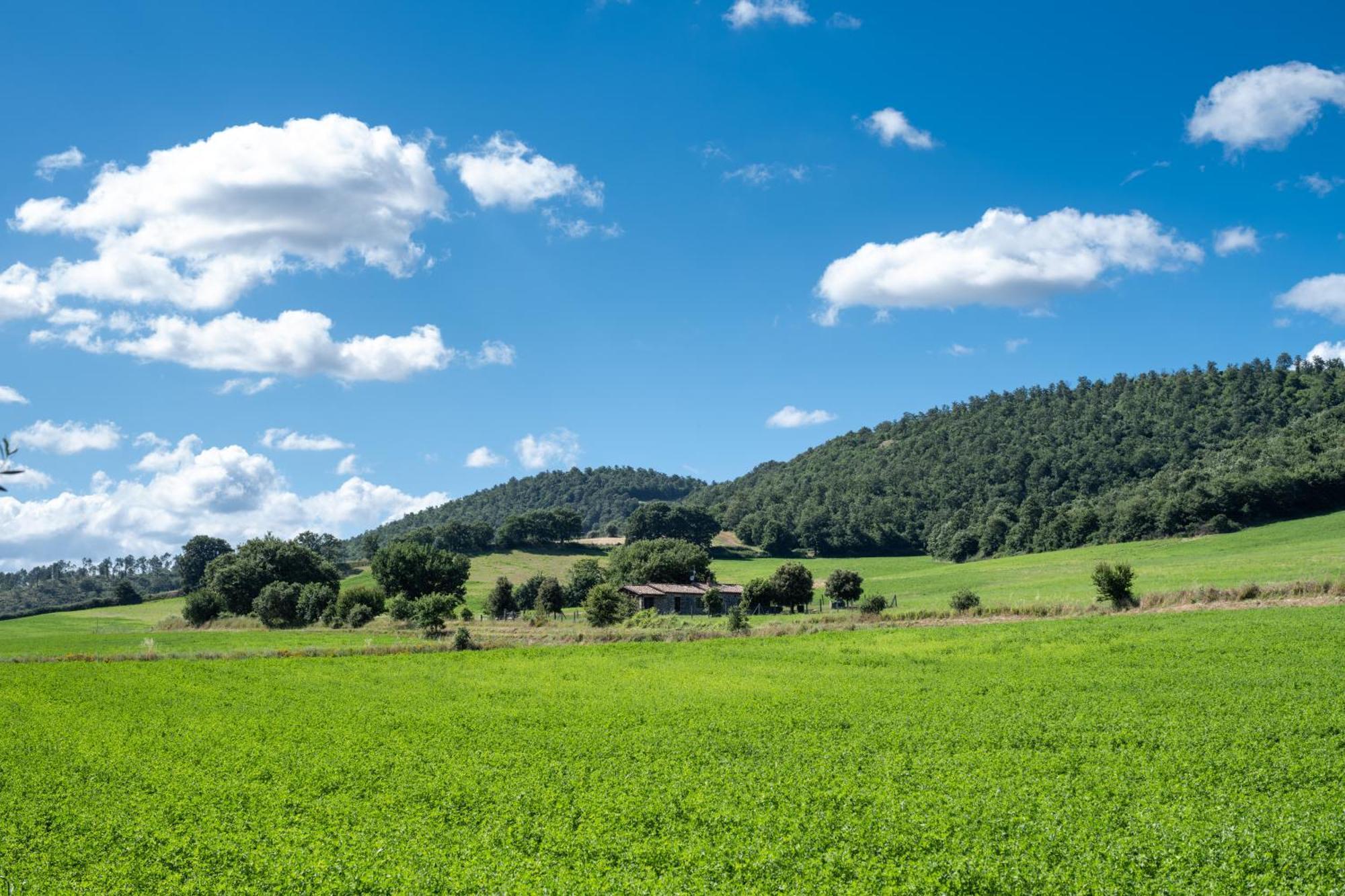 Agri Relais Il Poderaccio Di ボルセーナ エクステリア 写真