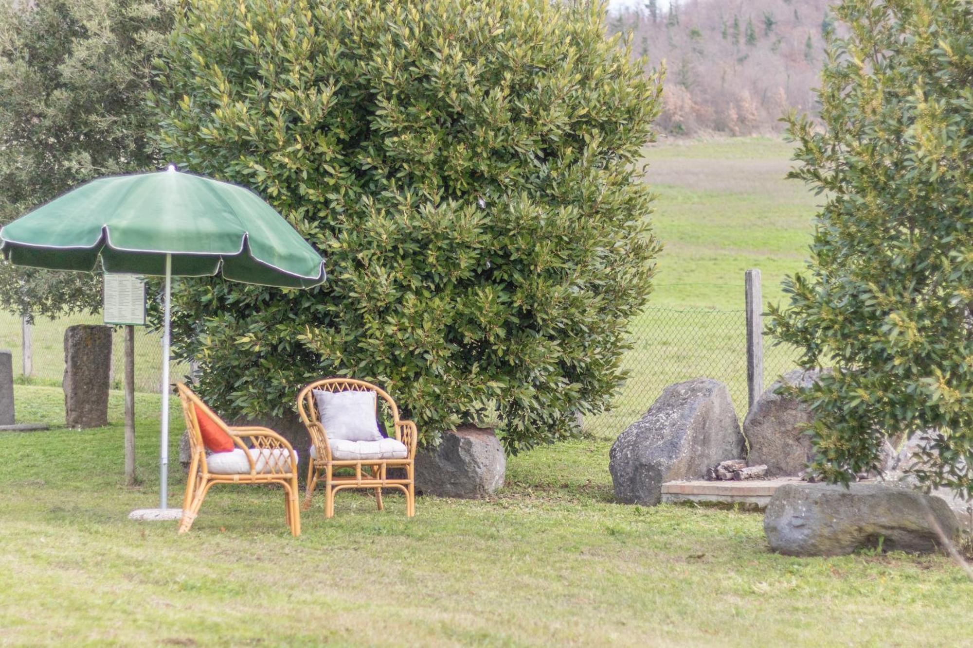 Agri Relais Il Poderaccio Di ボルセーナ エクステリア 写真