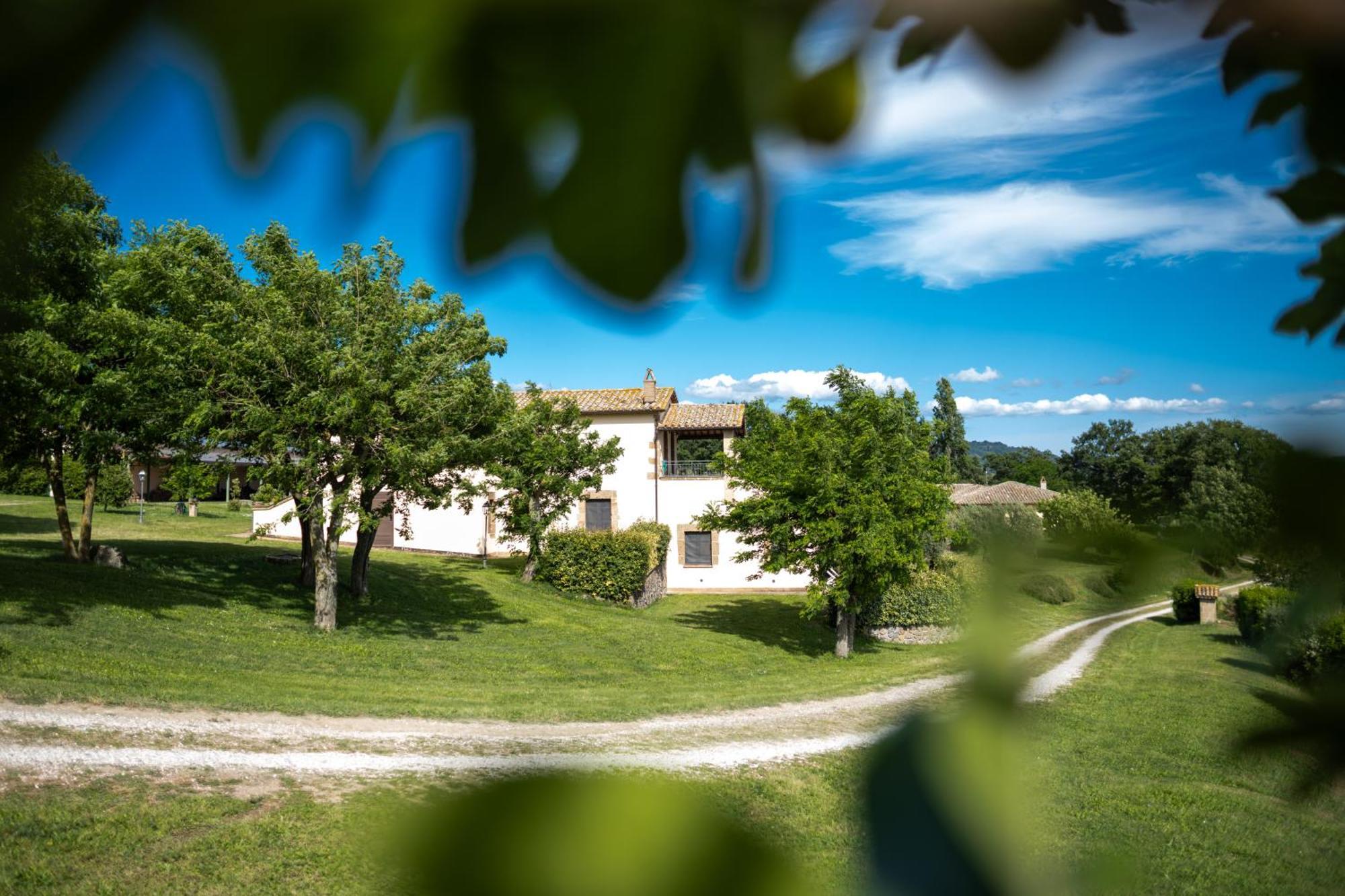 Agri Relais Il Poderaccio Di ボルセーナ エクステリア 写真