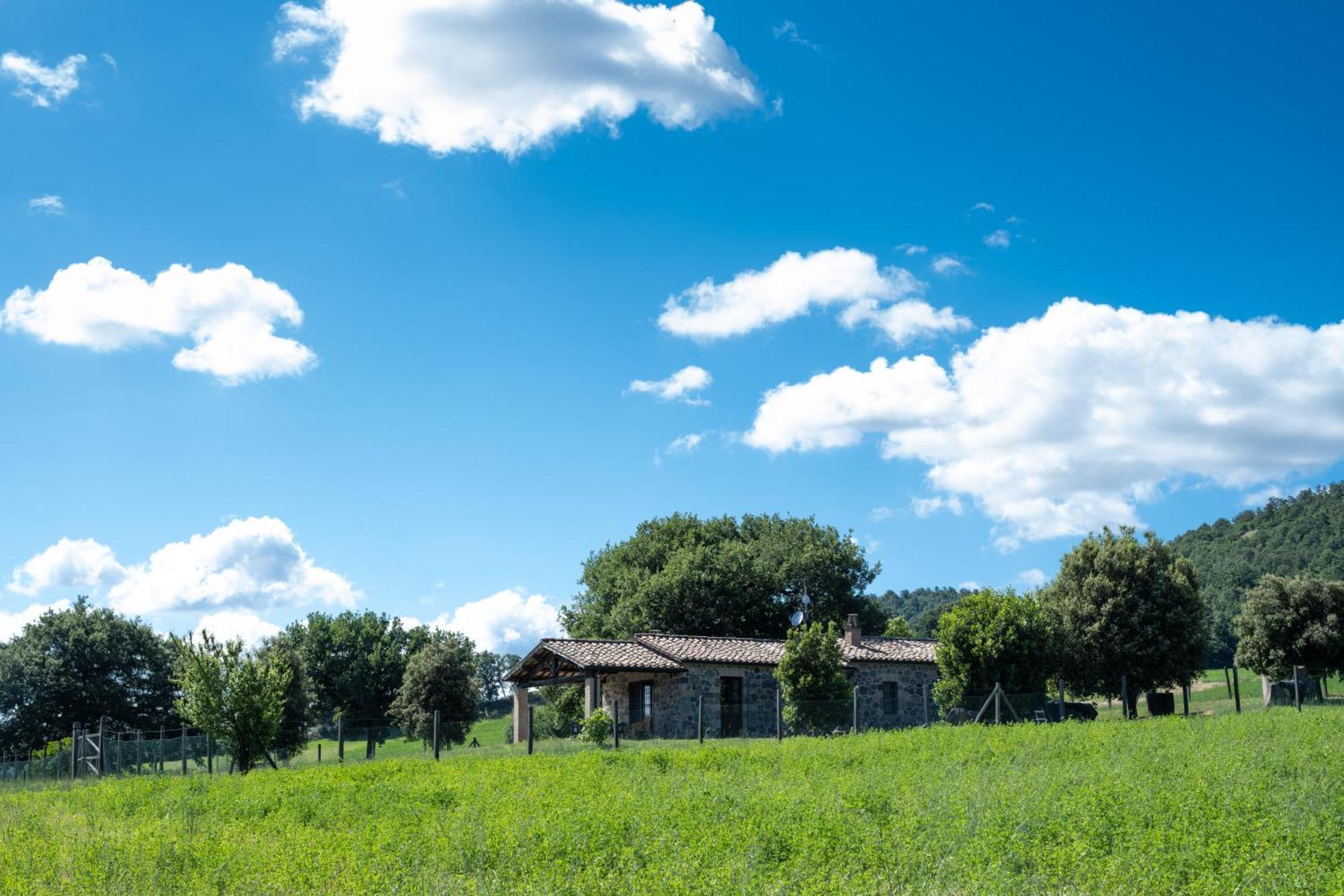 Agri Relais Il Poderaccio Di ボルセーナ エクステリア 写真
