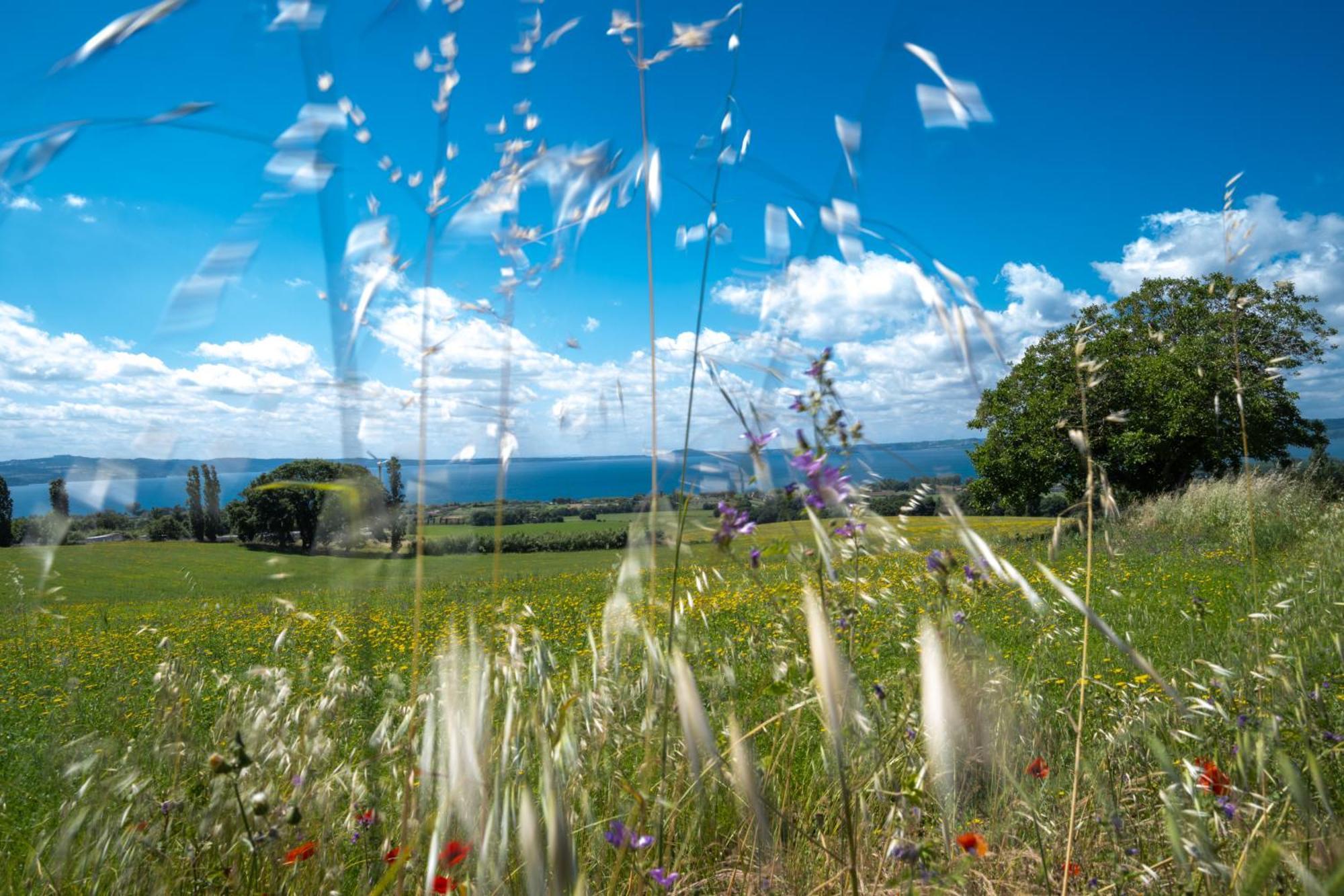 Agri Relais Il Poderaccio Di ボルセーナ エクステリア 写真