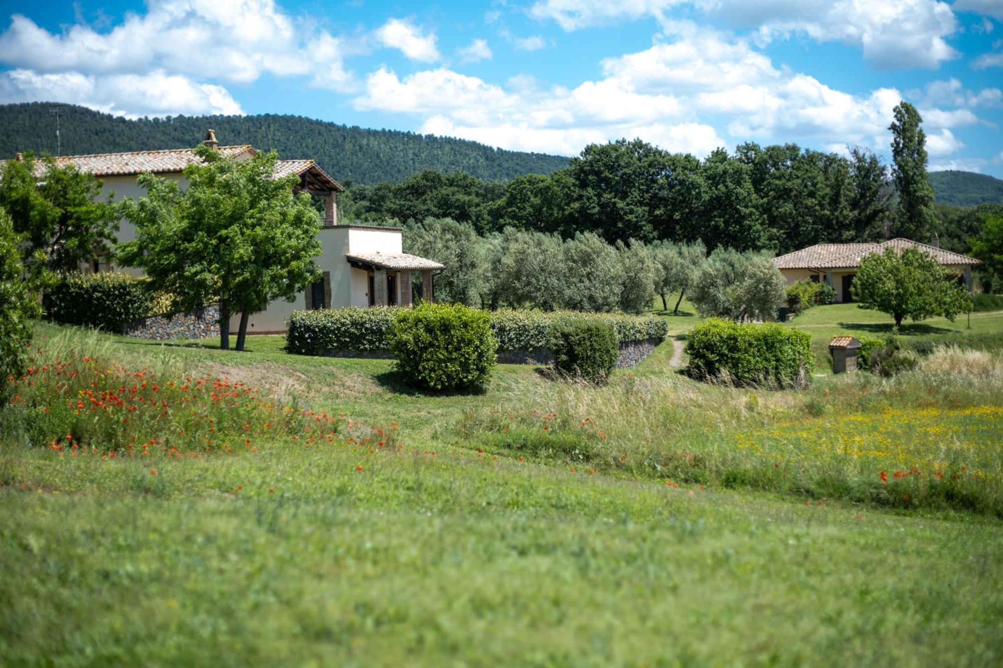 Agri Relais Il Poderaccio Di ボルセーナ エクステリア 写真